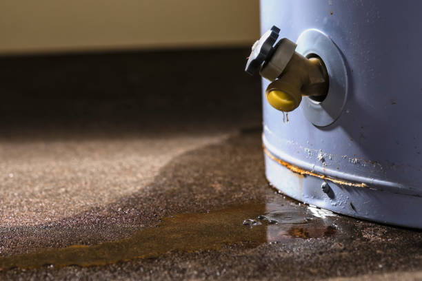 Best Water damage restoration company  in Woodlynne, NJ