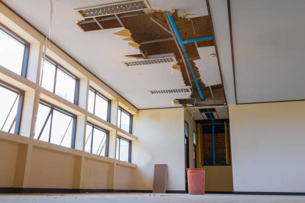 Carpet water damage restoration in NJ