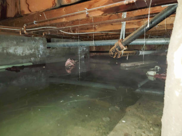 Best Commercial water damage restoration  in Woodlynne, NJ
