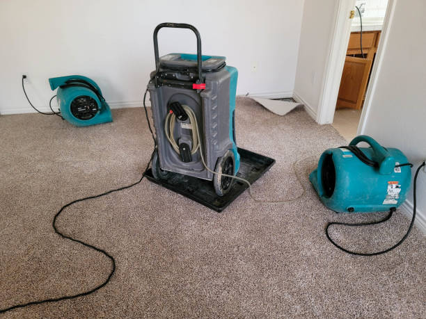 Best Water damage restoration near me  in Woodlynne, NJ