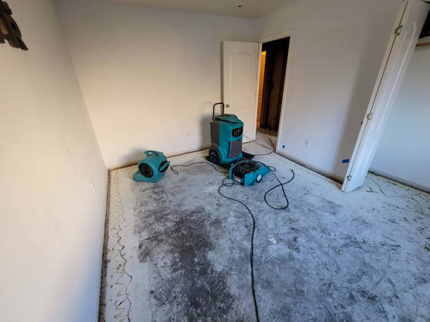 Best 24/7 water damage repair  in Woodlynne, NJ