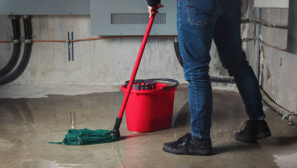 Best 24-hour water damage restoration  in Woodlynne, NJ
