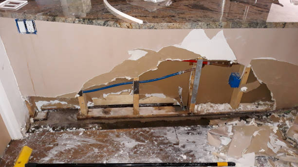 Best Basement water damage restoration  in Woodlynne, NJ