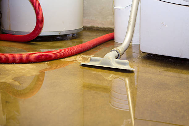 Best Professional water damage repair  in Woodlynne, NJ