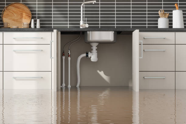 Best Water damage contractors near me  in Woodlynne, NJ