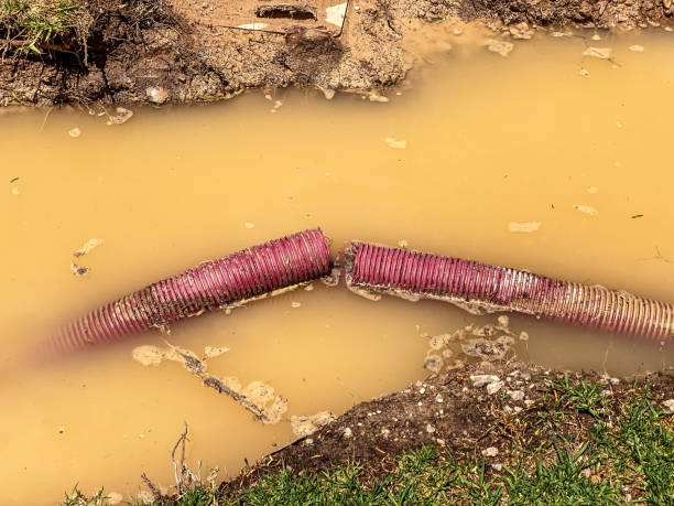 Best Emergency water damage restoration  in Woodlynne, NJ
